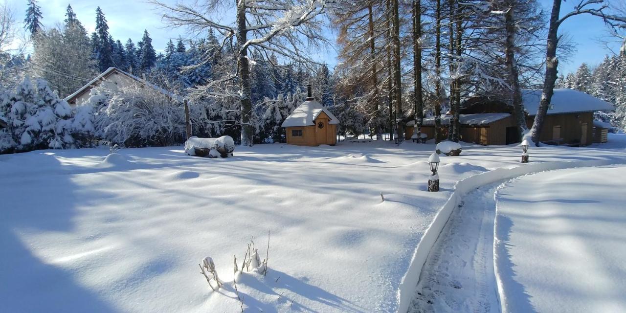 Chalet De Martimprey - Chalets - Gites - Chambres D' Hotes Et Spas Жерарме Экстерьер фото